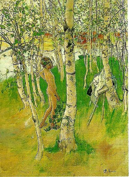 Carl Larsson ulf en naken pojke mellan bjorkstammar-ulf badar pa bullerholmen china oil painting image